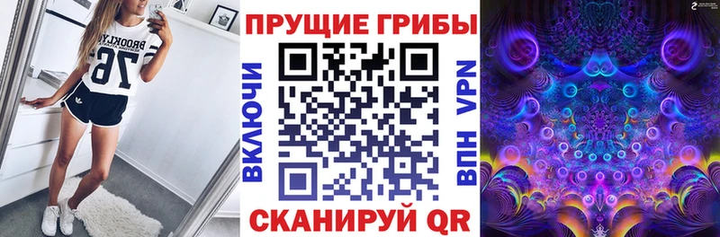 Псилоцибиновые грибы Psilocybine cubensis  Выкса 