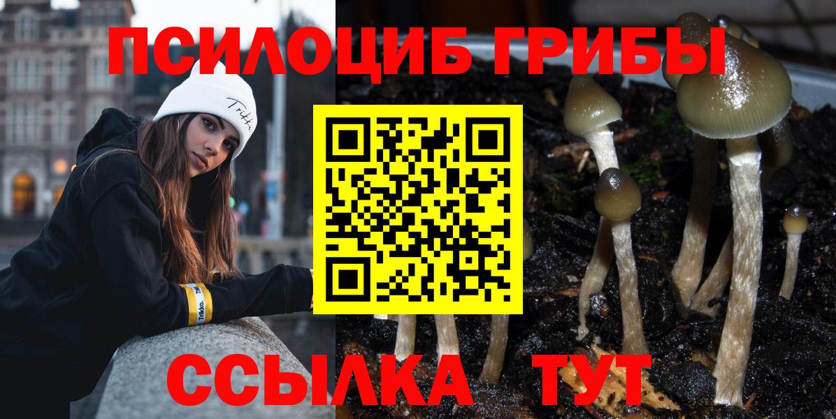 Псилоцибиновые грибы прущие грибы  Вход с VPN  Псилоцибиновые грибы прущие грибы  Выкса 