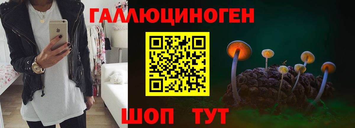 Псилоцибиновые грибы мицелий Выкса